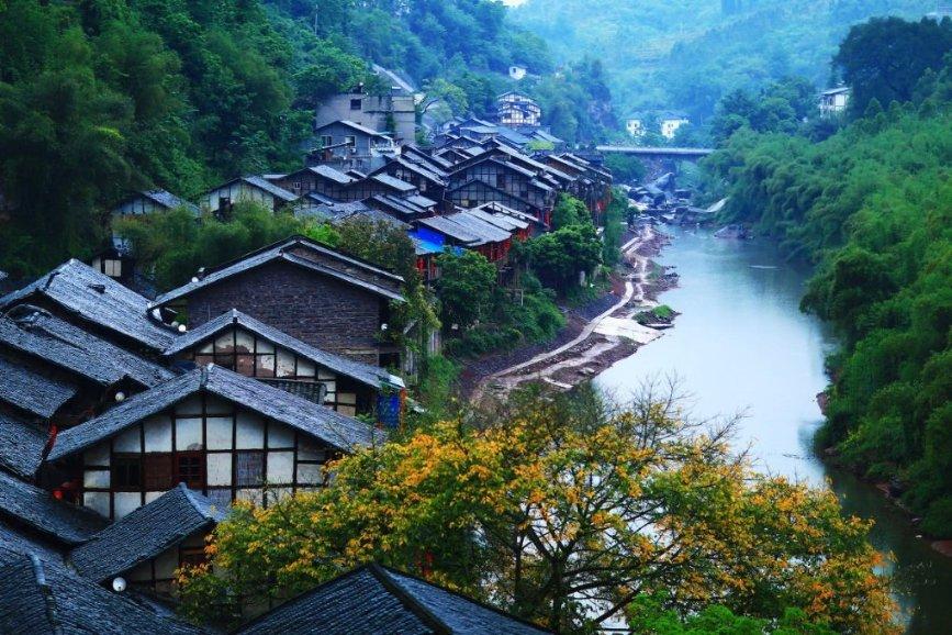 绿美广东 青年先行 | 郁南县“青年林”认捐共建倡议书